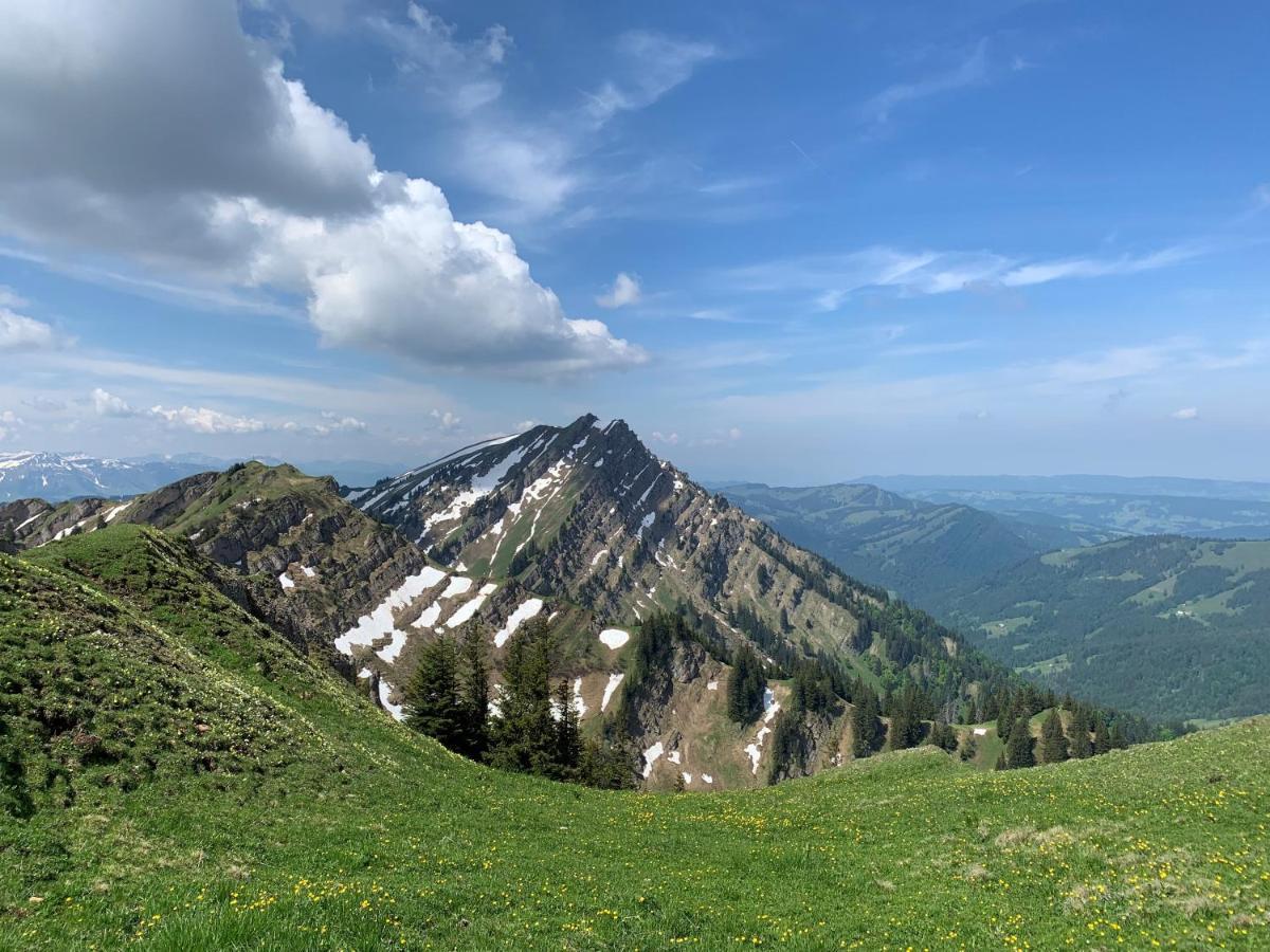 Staufen Herz Oberstaufen Exteriör bild